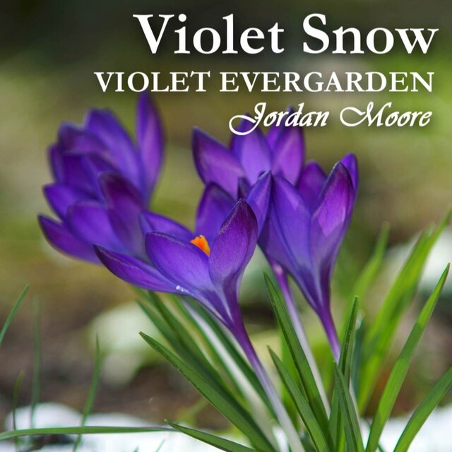 Violet Snow (From "Violet Evergarden")