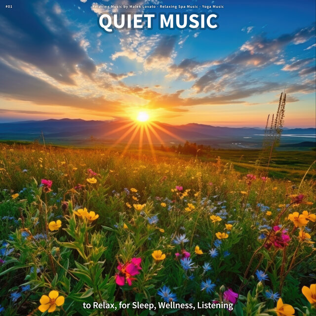 #01 Quiet Music to Relax, for Sleep, Wellness, Listening