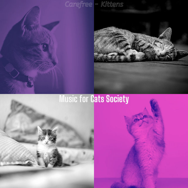 Carefree - Kittens