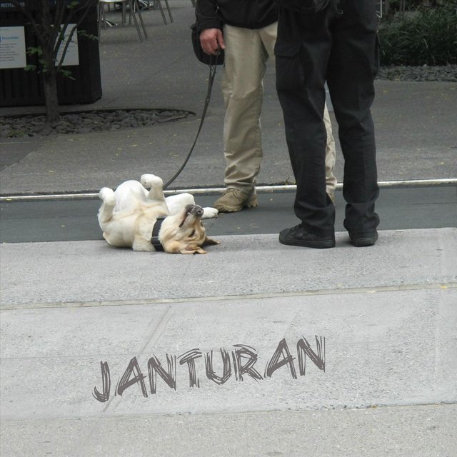 JANTURAN