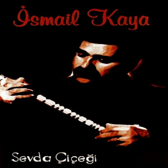 Sevda Çiçeği