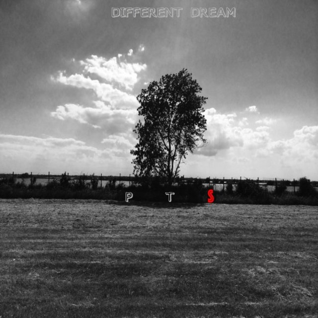 Different Dream