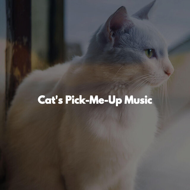Cat's Pick-Me-Up Music
