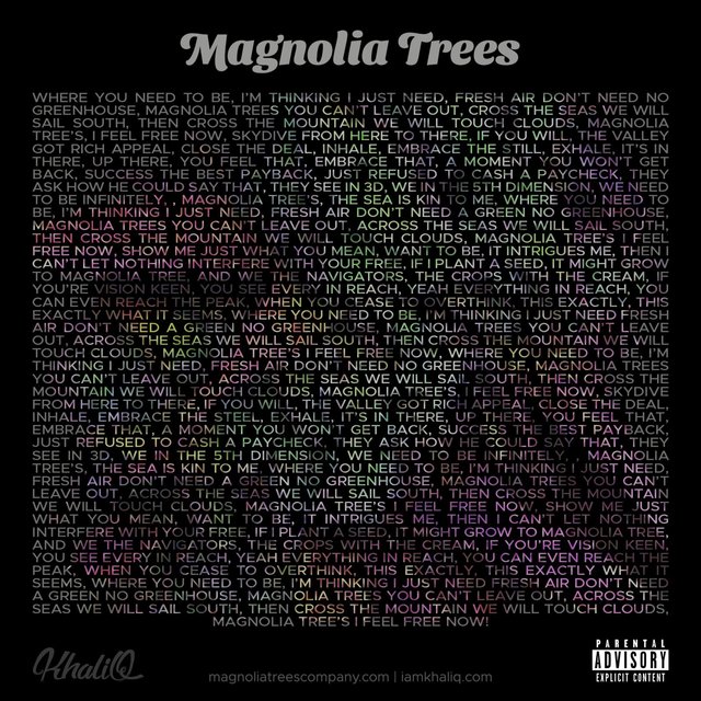 Magnolia Trees, Vol. 1