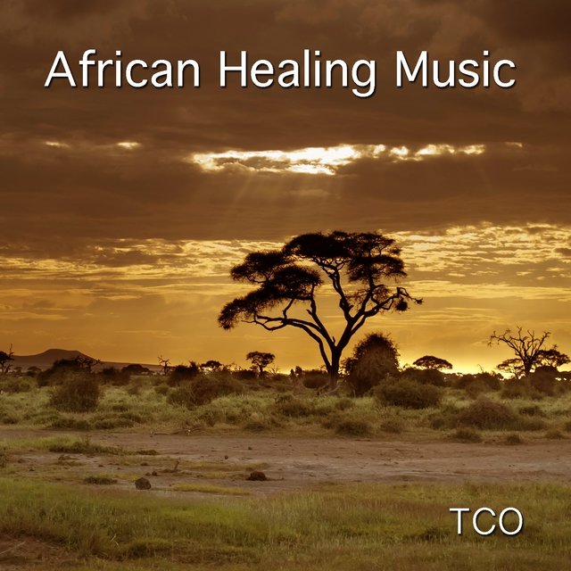 African Healing Music (1 Hour Relaxing African Music for Yoga and Meditation Performed on Kora, Fula Flutes, Balafon, Marimba, African percussions and Chants)