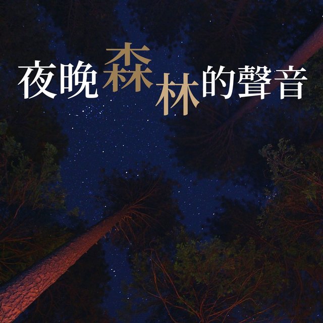 夜晚森林的聲音: 大自然美妙的音樂, 舒緩壓力輕音樂, 專注學習音樂