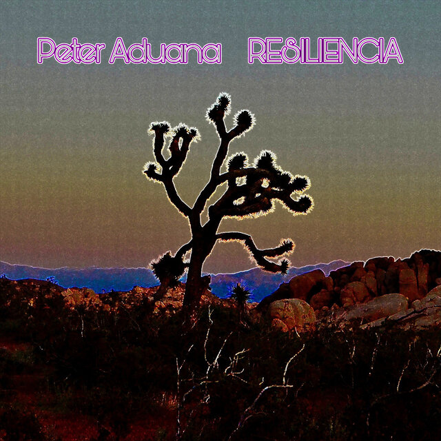 Resiliencia