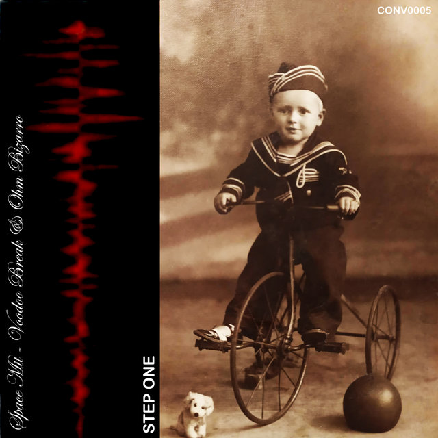 Space Mit - Voodoo Break & Ohm Bizarro (Step One)