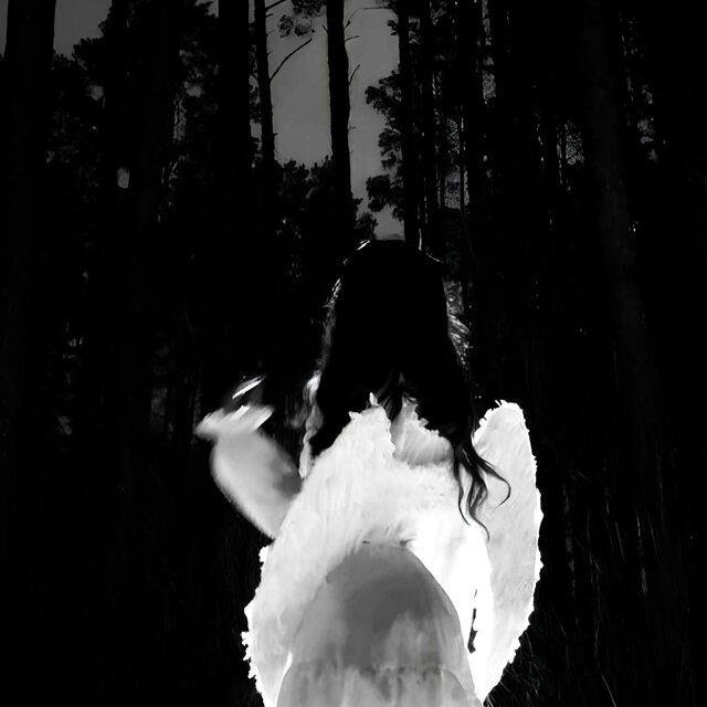 angel force