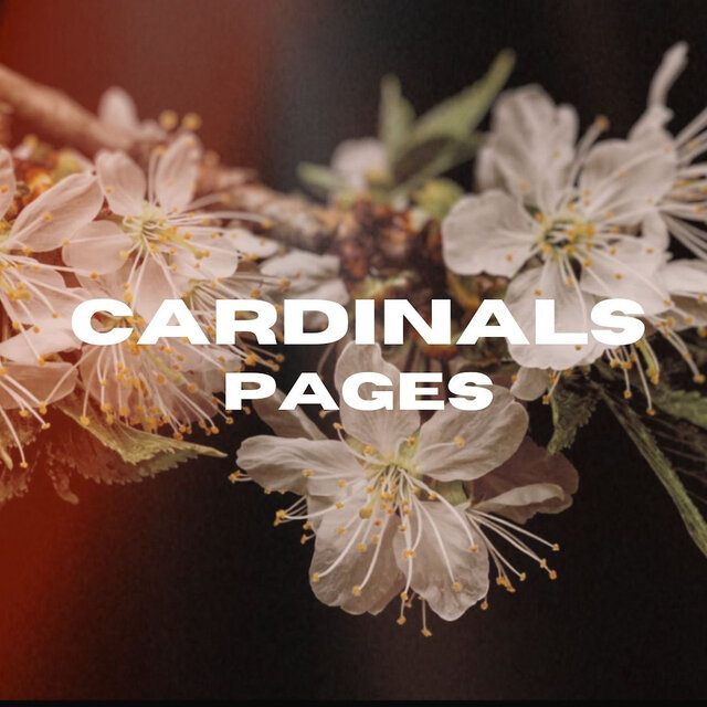 Pages