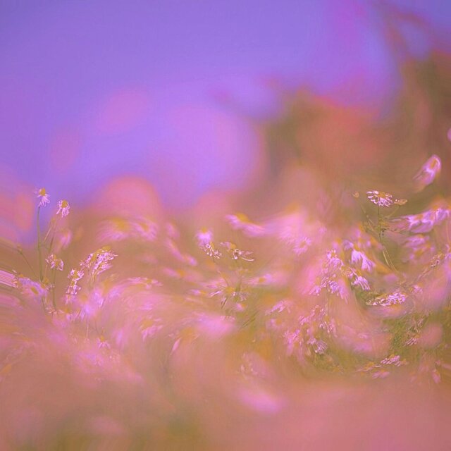 haze