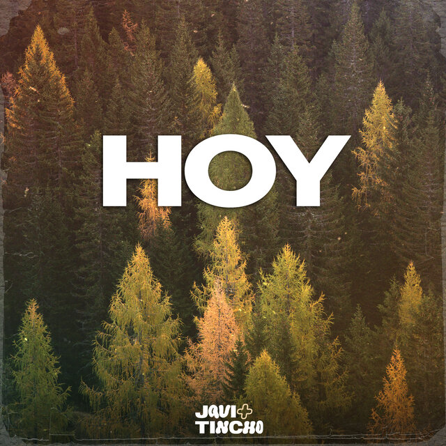 Hoy