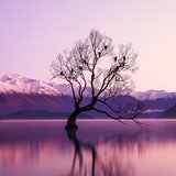 Twilight