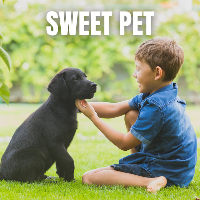 Sweet Pet