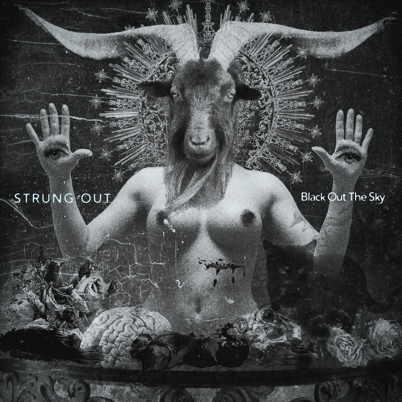 String Ut Strung Out on TIDAL