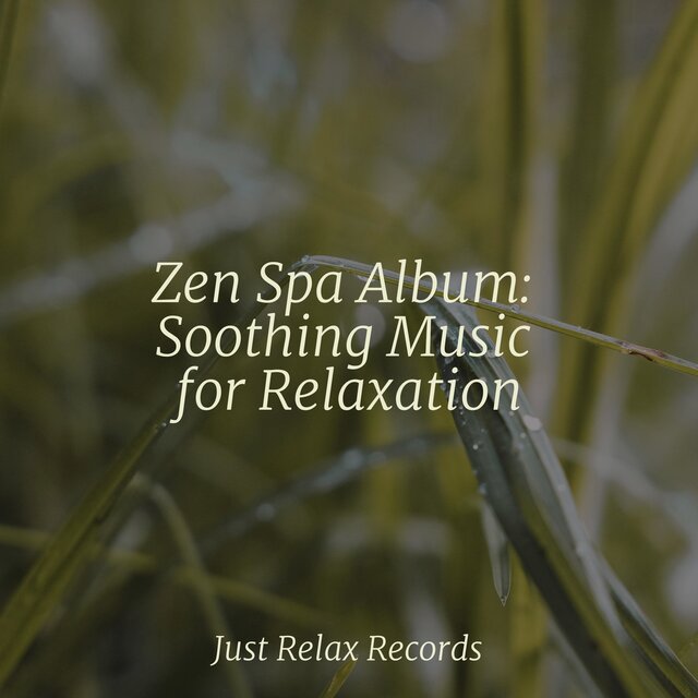 Zen Spa Album: Soothing Music for Relaxation