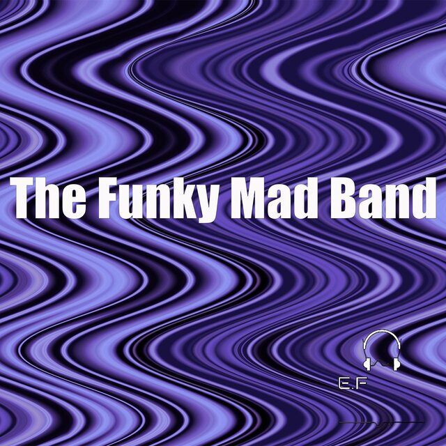 The Funky Mad Band