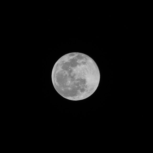 Luna White Noise