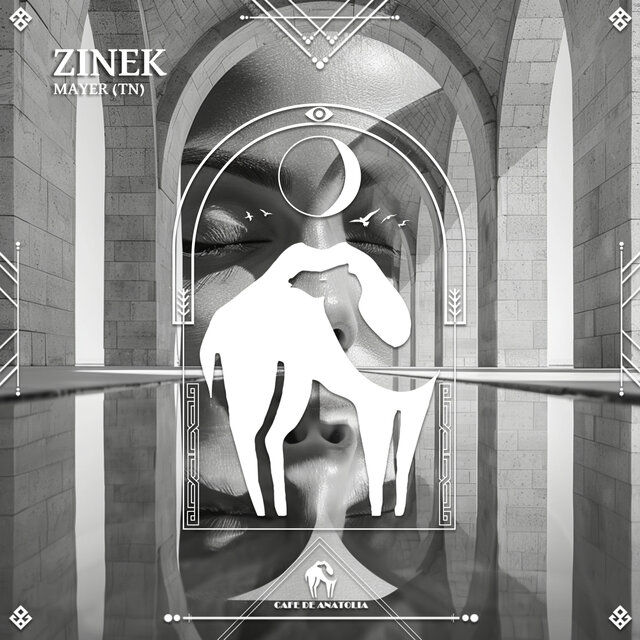 Zinek