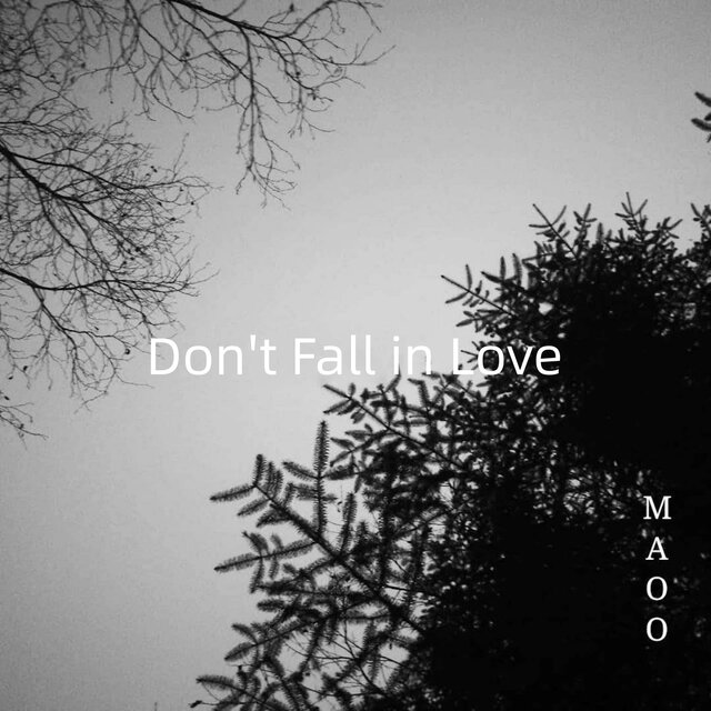 Don't Fall in Love