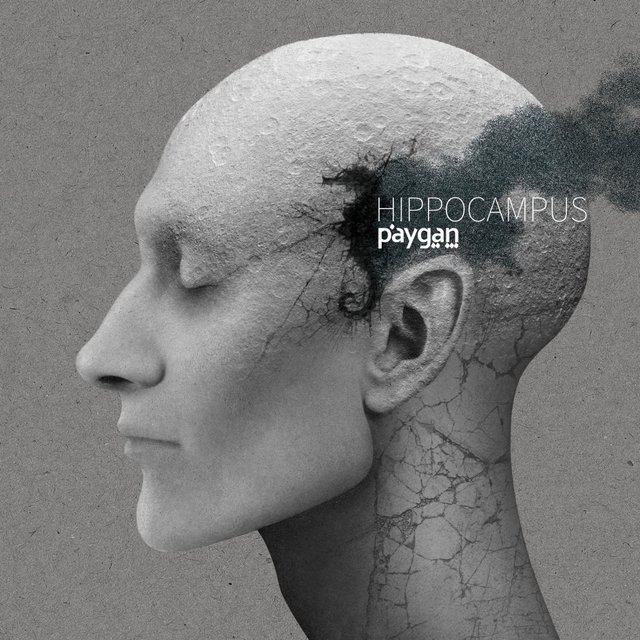 Hippocampus