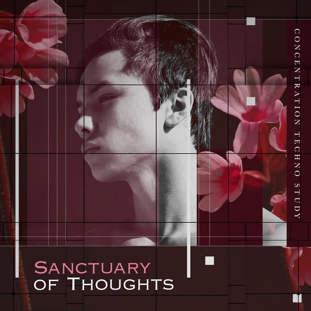 Sanctuary of Thoughts