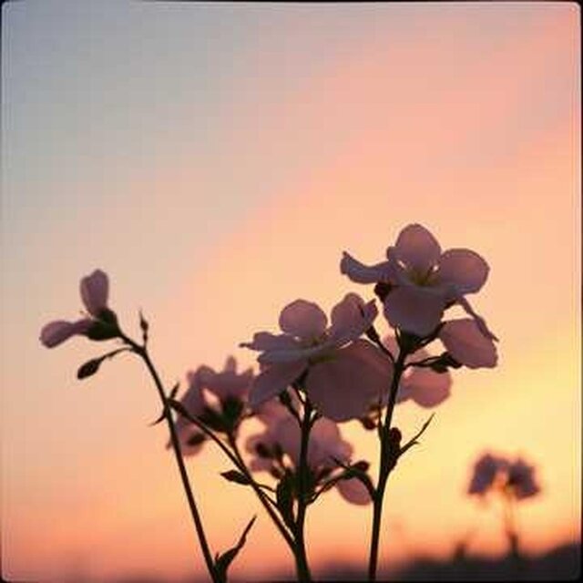 Pop Ballad English, Vol. 1