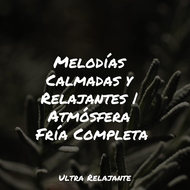 Melodías Calmadas y Relajantes | Atmósfera Fría Completa