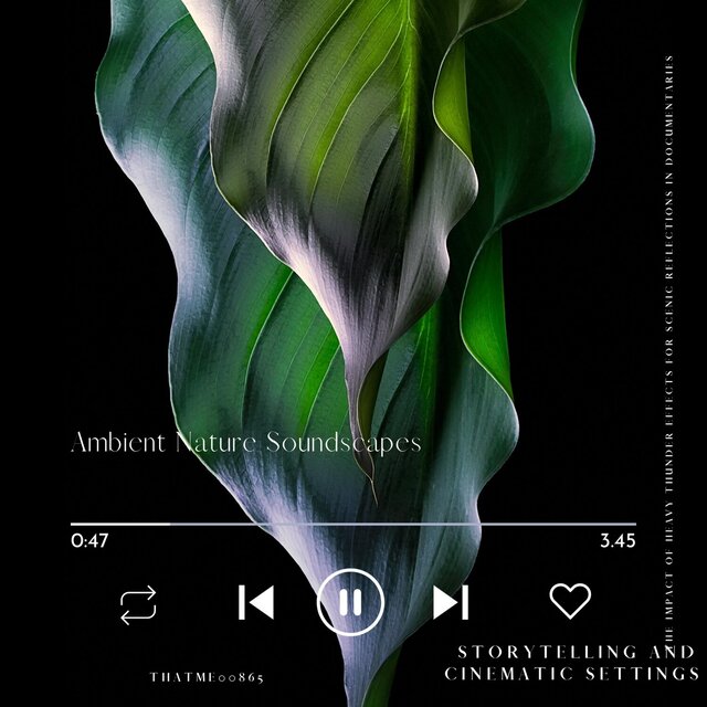Ambient Nature Soundscapes - The Impact of Heavy Thunder Effects for Scenic Reflections in Documentaries, Storytelling and Cinematic Settings, Vol. 10