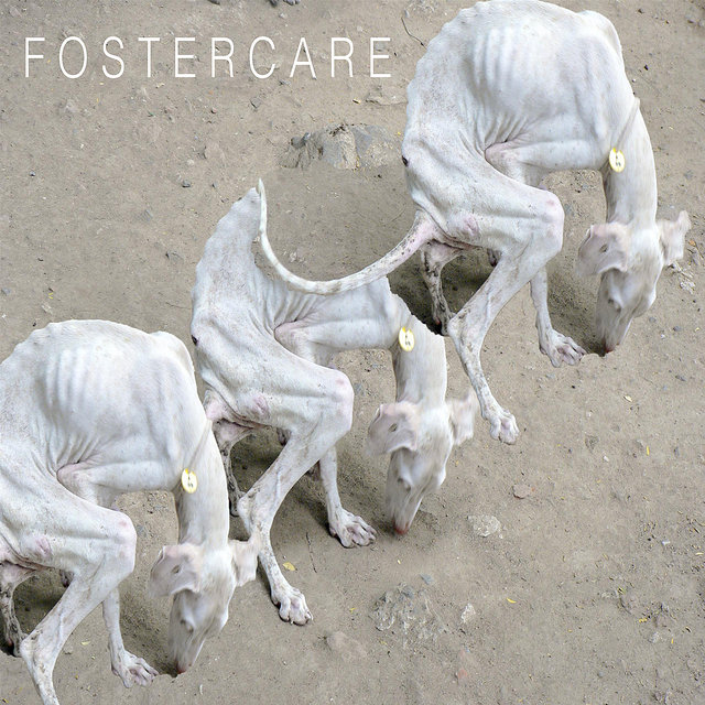 Stray (Digital Only)