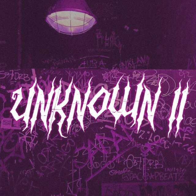 Unknown 2