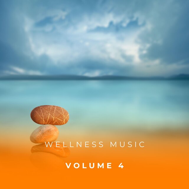 Wellness Music Vol. 4