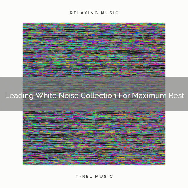Leading White Noise Collection For Maximum Rest