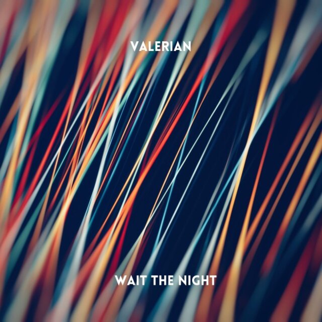 Wait the Night