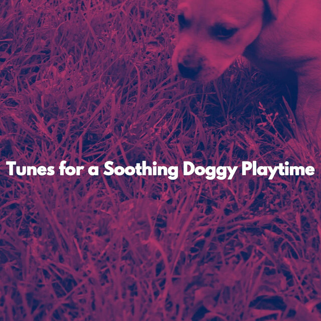 Tunes for a Soothing Doggy Playtime