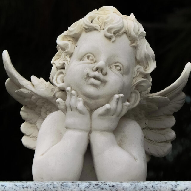 ANGEL SQUAD