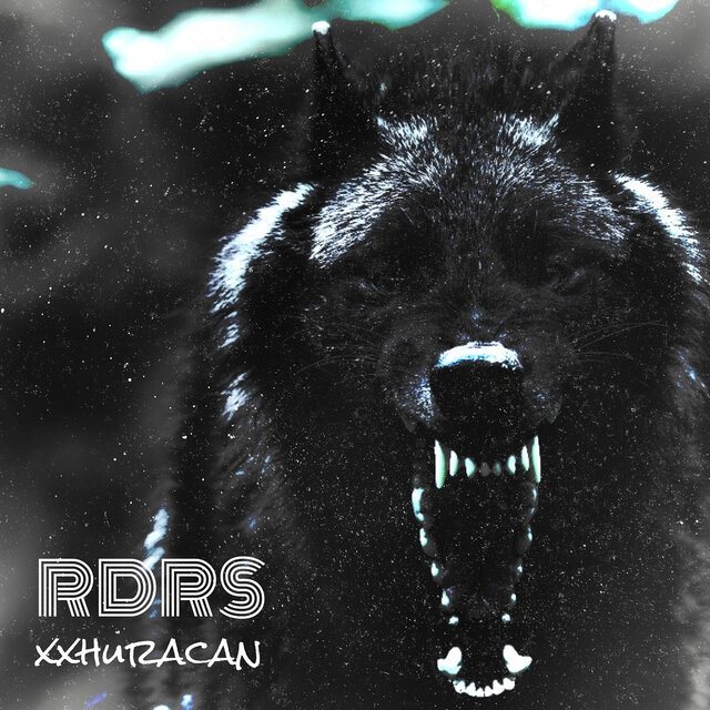 RDRS