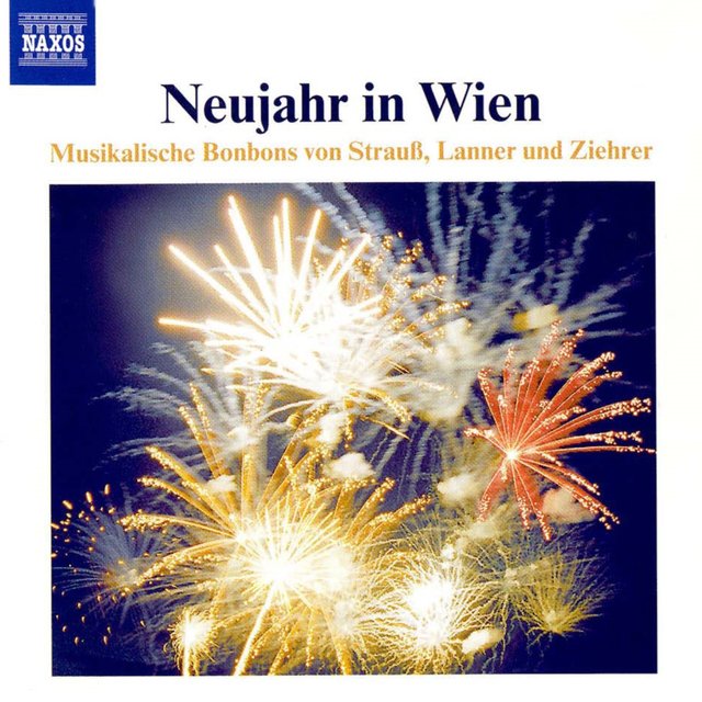 Neujahr in Wien