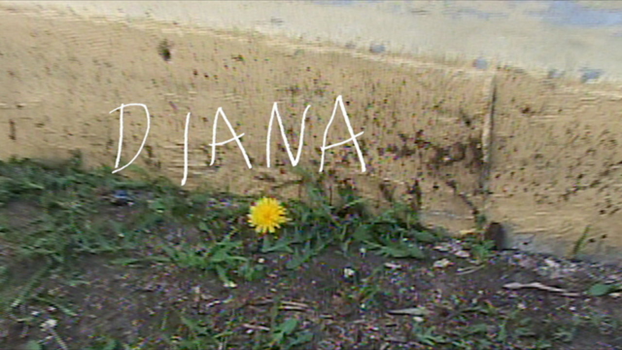 Diana (Lyric Video)