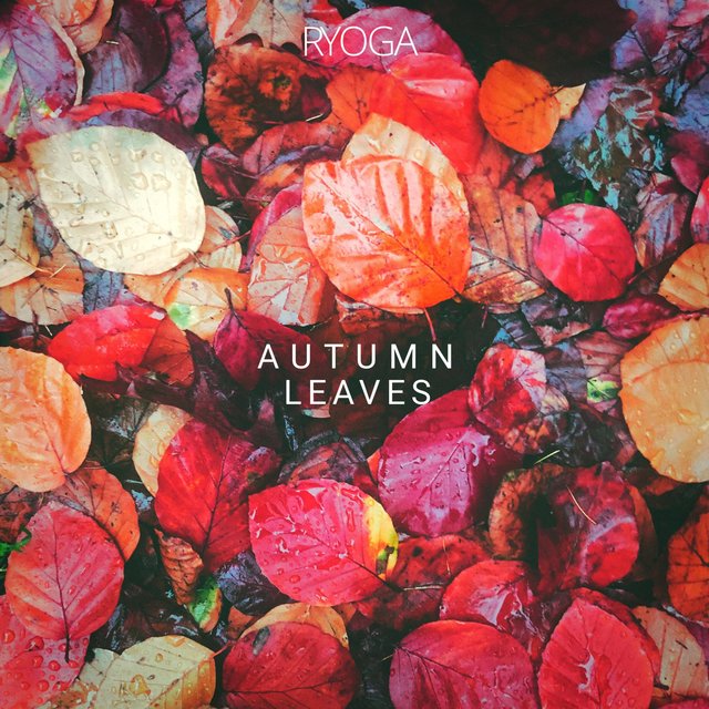 Autumn Leaves