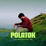 Polatok