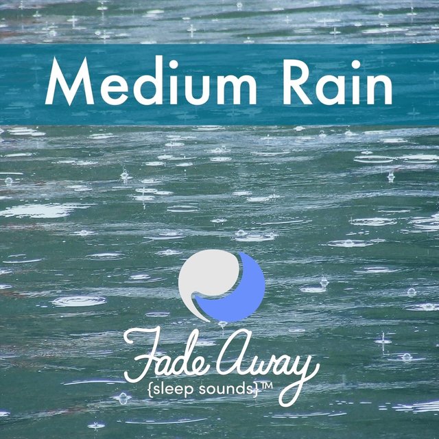 Medium Rain (Ambient Sound)