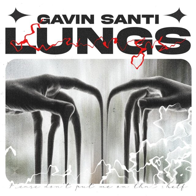 Lungs