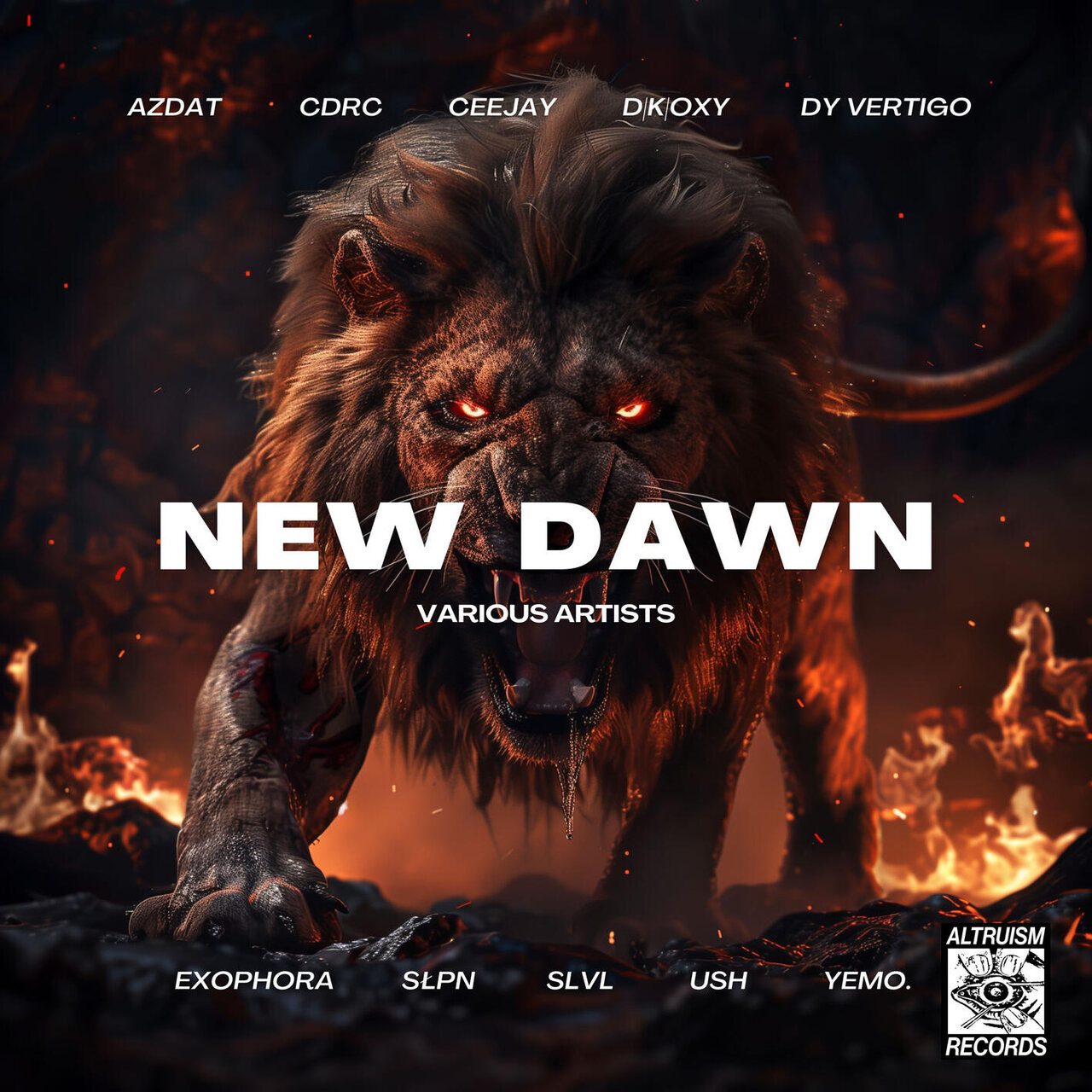 NEW DAWN / Various Artists - TIDAL