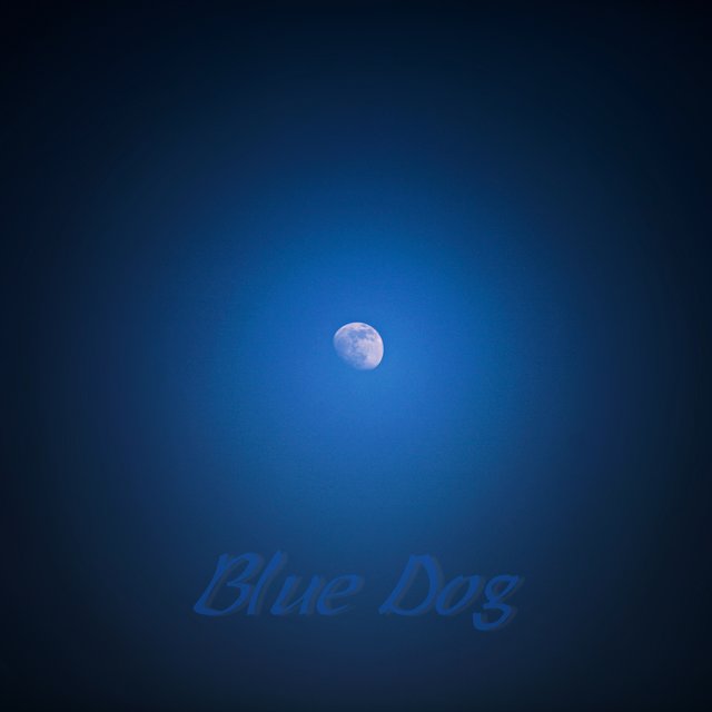 Blue Dog