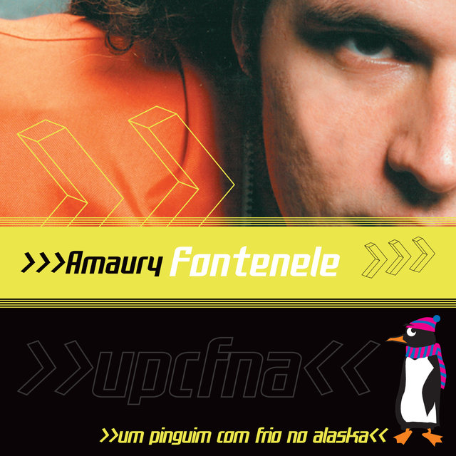 Um Pinguim com Frio no Alaska