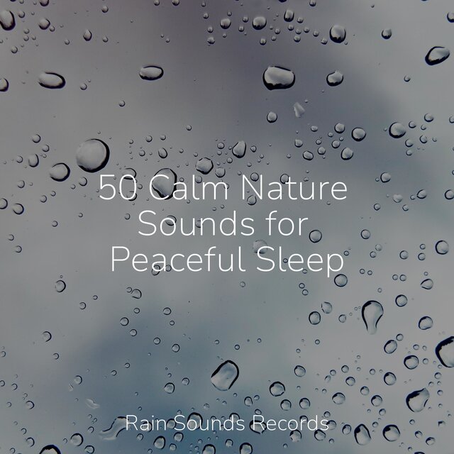 50 Calm Nature Sounds for Peaceful Sleep