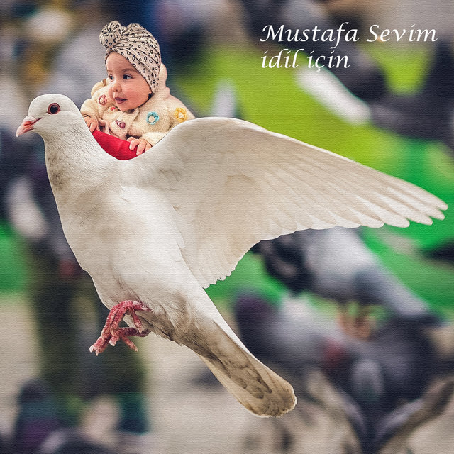 İdil İçin