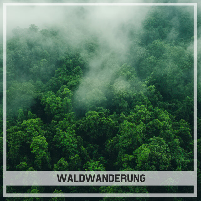 Waldwanderung