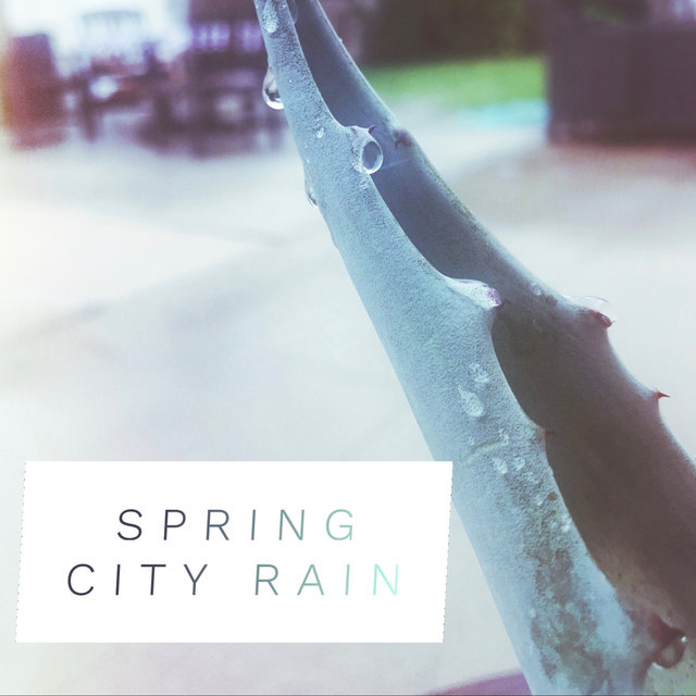 Spring City Rain